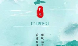 日本爆料长高操作视频,跟随视频轻松实现身高增长